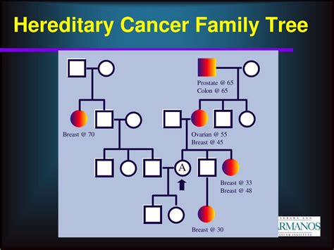 Ppt Hereditary Cancers Powerpoint Presentation Free Download Id