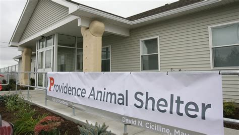 Providence Animal Shelter reopens following parvovirus outbreak