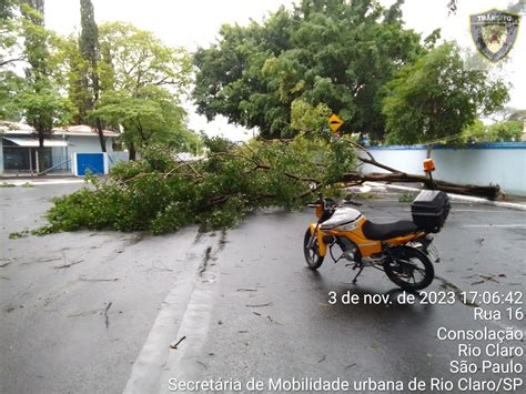 Ventos Acima De Km Por Hora Derrubam Rvores Em Rio Claro Grupo