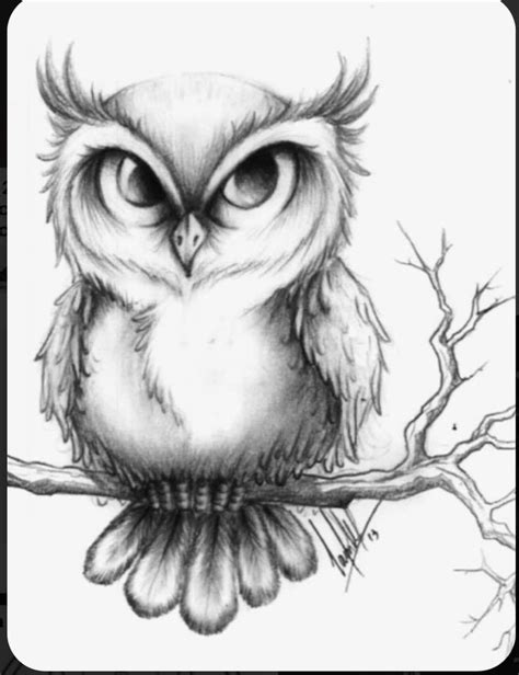 Pin By Mary Helm On Rock Ideas Owl Tattoo Drawings Owls Drawing