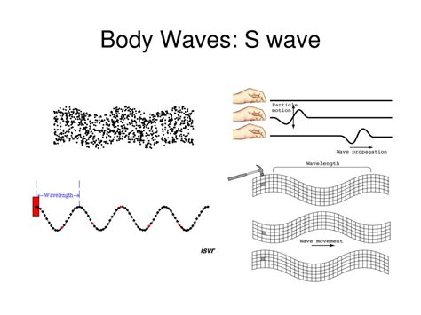 PPT - Body Waves: S wave PowerPoint Presentation, free download - ID ...