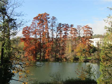 Cypr S Chauves Et Lac Du Parc De La T Te D Or Etienne