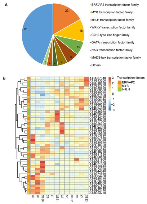 Ijms Free Full Text Transcriptomic Analysis Revealed Key Defense Genes And Signaling