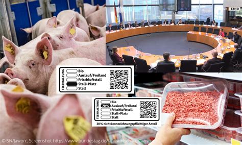 schweine net Ausschussanhörung im Bundestag