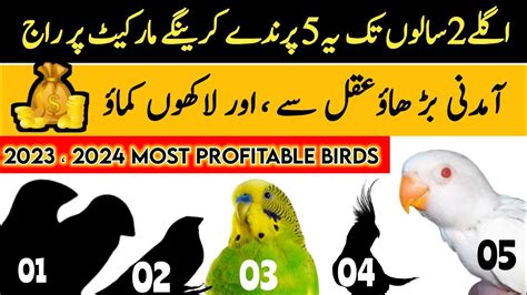 Top Profitable Parrots For Business In How To Start