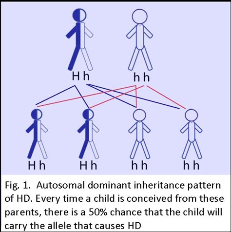 Figure 4 From Huntington S Disease Understanding A Mutation Semantic