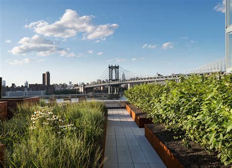 This rooftop garden in New York is like a meadow in the sky | CONTEMPORIST