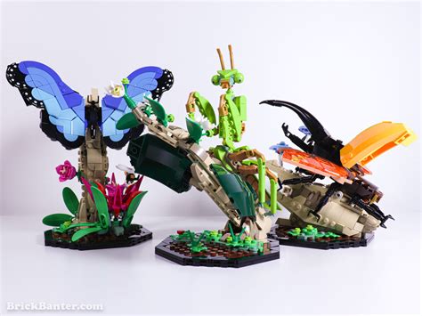 Review Lego Ideas The Insect Collection 21342