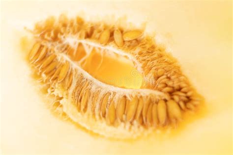 Bottom View Woman Pussy Tumbex Stock Photos Free Royalty Free Stock Photos From Dreamstime