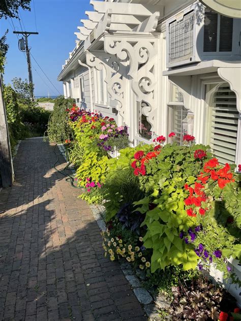 Spring Lepidoptera Porn Telecaster Guitar Forum