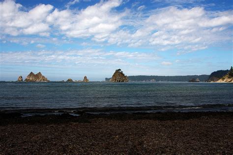 Olympic Peninsula: Hiking Between Rain Forest and Beach • Angela Travels