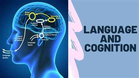 Language And Cognition Youtube