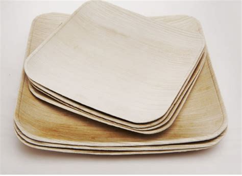 Verterra Makes Disponable Dinnerware Out Of Leaves Eco Friendly Watch