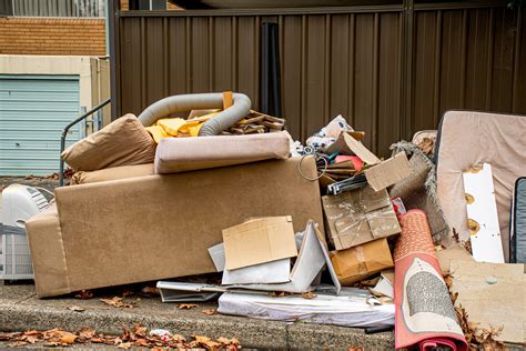 10 reasons why you need The Junk Guys in your life | The Junk Guys ...