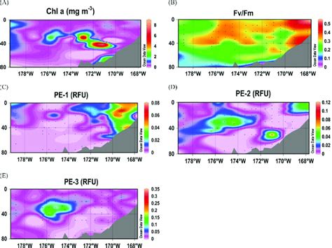 Vertical Sections Of A Chl A B Fv Fm C Pe D Pe And E