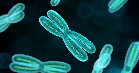 Genetics: Course for Science Educators | Seminars on Science 