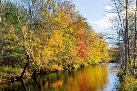 New England Fall Foliage Guided Sightseeing Tour From Boston