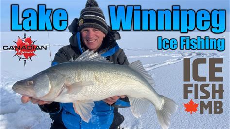 Ice Fishing Greenback Walleye On Lake Winnipeg Manitoba Youtube