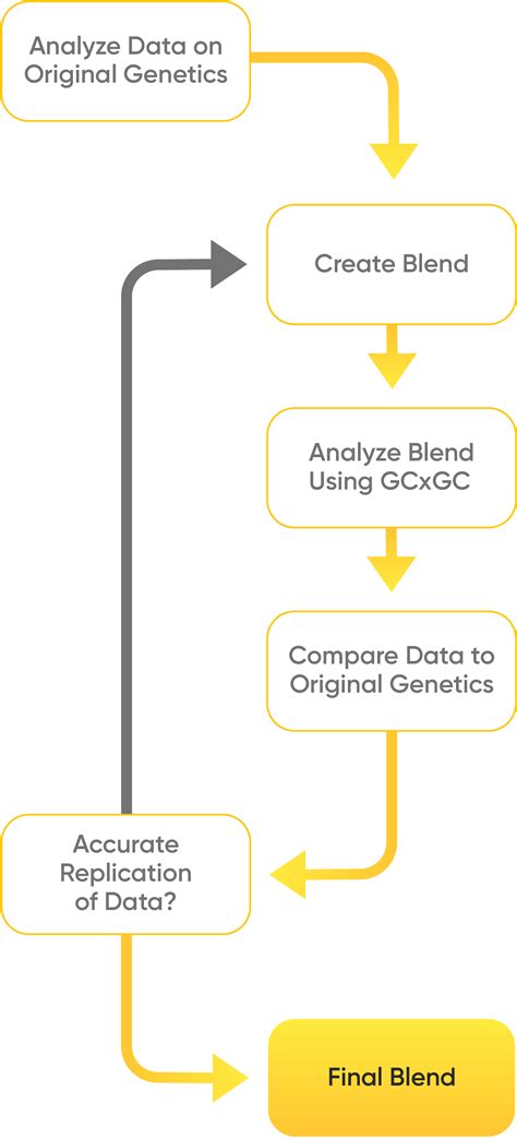 Jack Herer Terpene Profile Best Terpenes Abstrax Tech