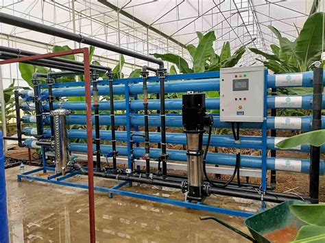 Aka Group Banana Greenhouse Treatment Systems Analysis And Installation