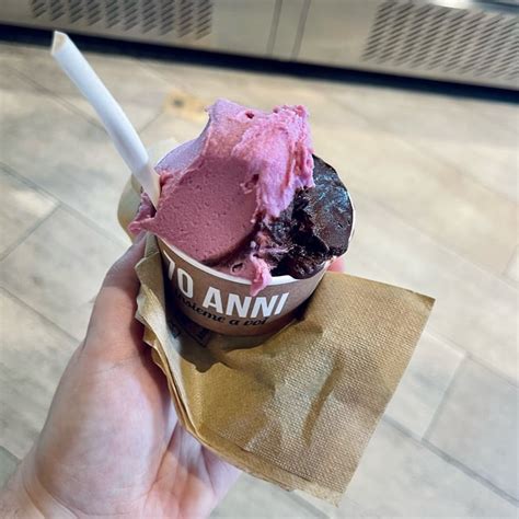 Gelateria La Romana Roma Italy Mirtillo Nero Sambuco E Limone E