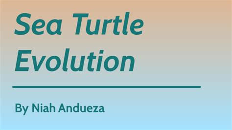 Sea Turtle Evolution By Niah Andueza On Prezi