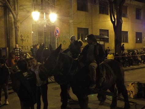 Quadrelle Si Festeggia Sant Antonio Abate Oggi La Tirata Del Maio