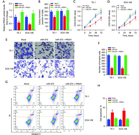 Mir Inhibits Escc Cell Growth By Directly Targeting Prdx A The