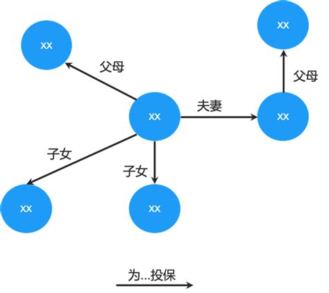 Nebulagraph 行业实践分享｜图技术在保险反欺诈领域有哪些应用？