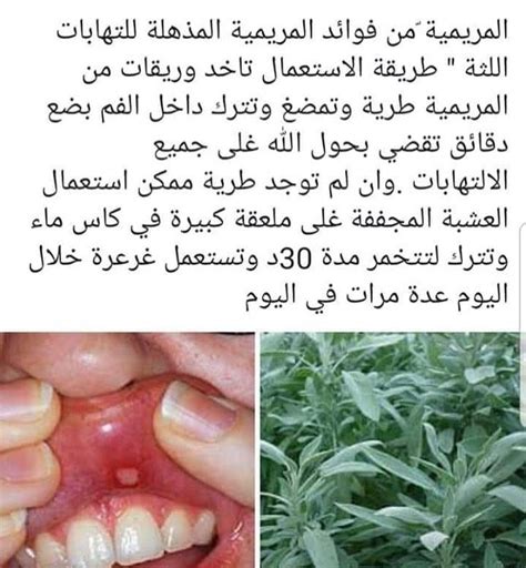 علاج قرح الفم بالمرمريه Instagram Posts Healthy Tips Instagram