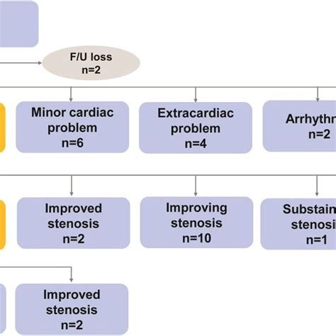 Progression of the conditions of the patients who underwent isolated... | Download Scientific ...