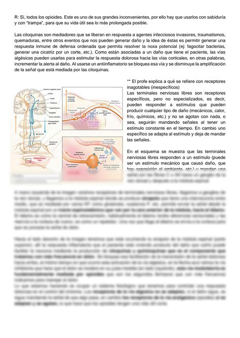 Solution Manejo Del Dolor Studypool