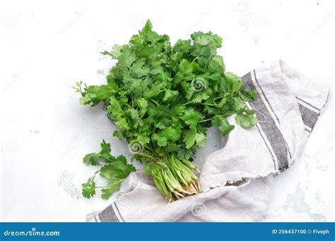 Fresh Cilantro Or Coriander Leaves In Bunch White Kitchen Table