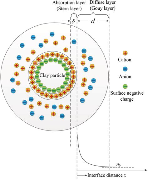 Graphic Description Of The Electrical Double Layer On A Clay Particle S