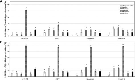 Inhibitory effect of fungicides on conidial germination of ... 
