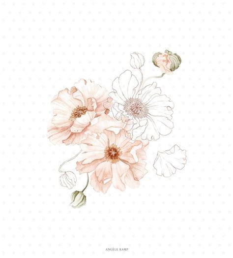 Pink Icelandic Poppy Watercolor Bouquet Flower Clipart Etsy