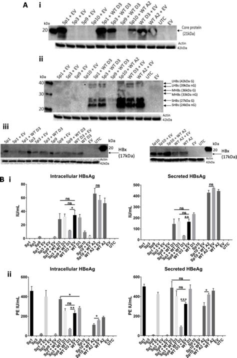 Hbsag Abbott Laboratories Bioz