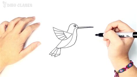 Como Dibujar Un Colibri Paso A Paso Dibujo Facil De Colibri