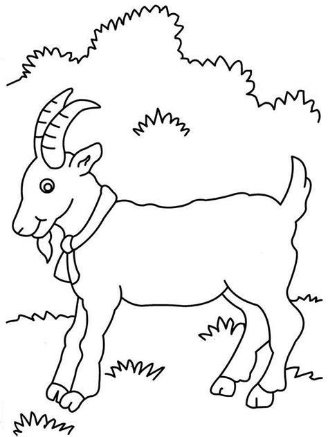 Desenhos De Cabras Para Colorir