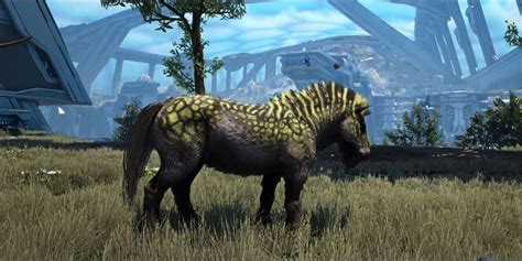 Ark Survival Evolved