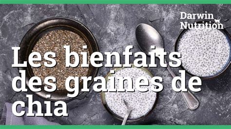 Découvrez tous les bienfaits des graines de chia YouTube