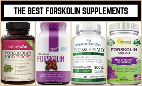 The 10 Best Forskolin Supplements January 2025 Jacked Gorilla