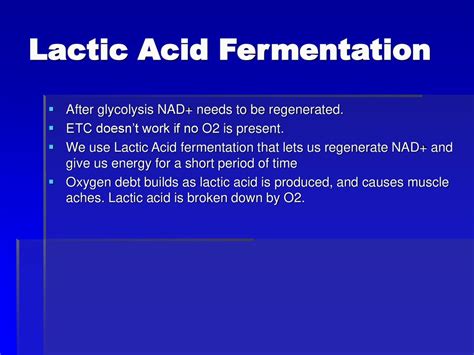 Cellular Respiration By Brad Harbeson Ppt Download