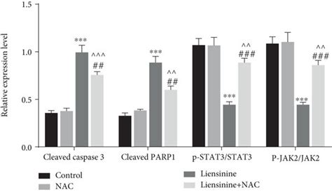 NAC Reversed The Effect Of Liensinine On Apoptosis And The Expressions