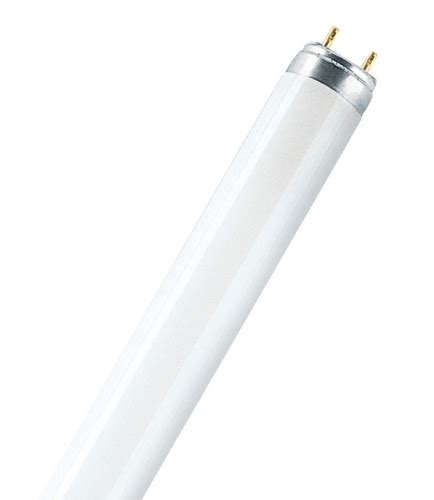 White Tube Light For Home Hotel And Office Use At Best Price In