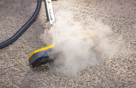 Steam Cleaning 101 Everything You Need To Know