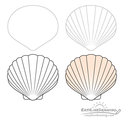 How To Draw Shells Step By Step Easylinedrawing