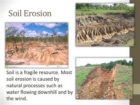 Soil Erosion and Conservation