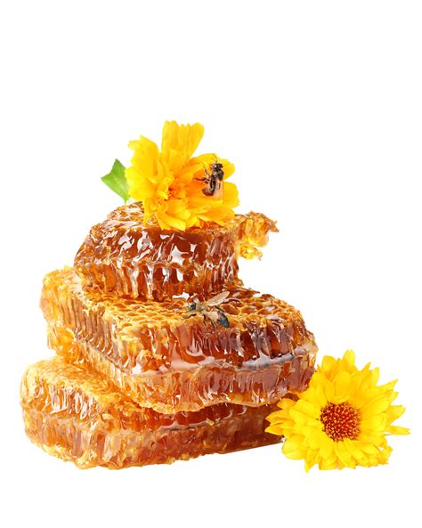 Honey PNG