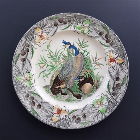 Canada Goose The Birds Of America Floral Rim Dinner Plate John James